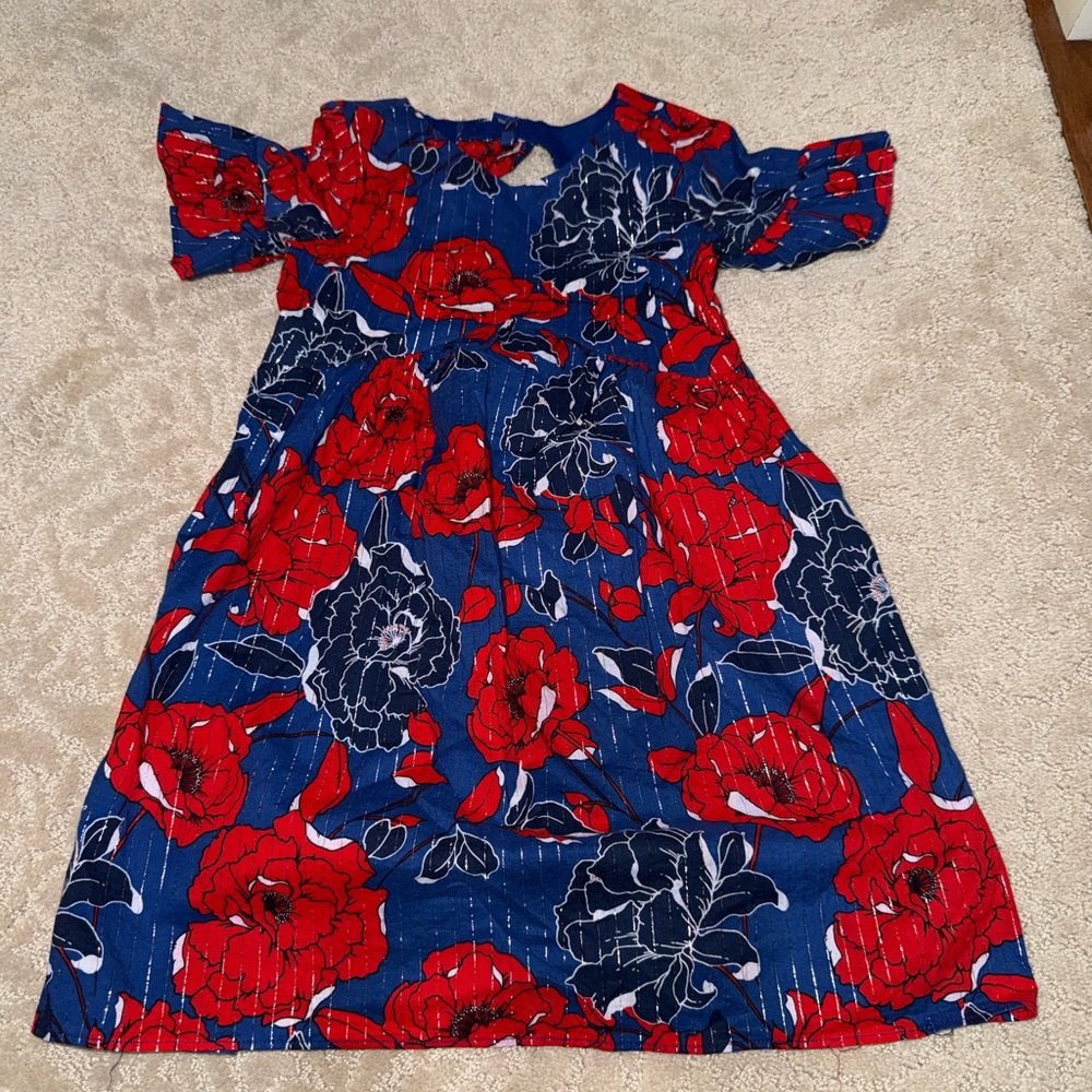 Janie and Jack Navy Dress with Red Floral Print